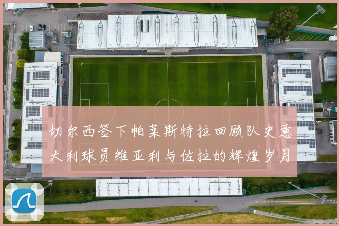 切尔西签下帕莱斯特拉回顾队史意大利球员维亚利与佐拉的辉煌岁月
