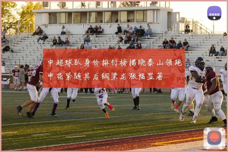 中超球队身价排行榜揭晓泰山领跑申花紧随其后铜梁龙涨幅显著
